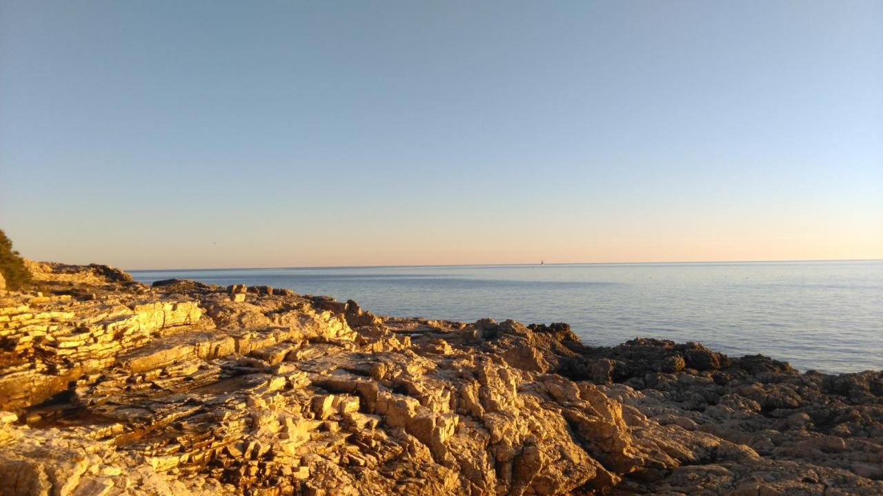 Apartament Lair By The Sea - Stoja, Pula Zewnętrze zdjęcie